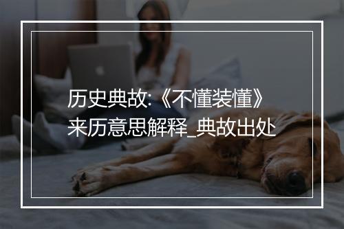 历史典故:《不懂装懂》来历意思解释_典故出处