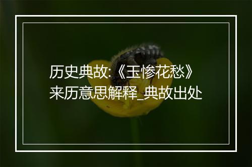 历史典故:《玉惨花愁》来历意思解释_典故出处