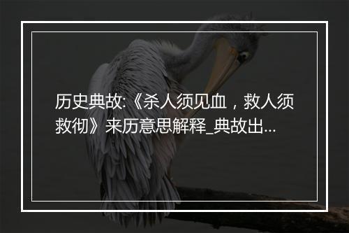 历史典故:《杀人须见血，救人须救彻》来历意思解释_典故出处