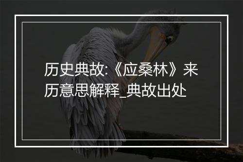 历史典故:《应桑林》来历意思解释_典故出处