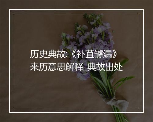 历史典故:《补苴罅漏》来历意思解释_典故出处