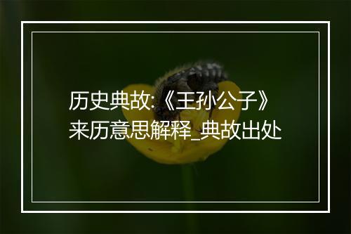 历史典故:《王孙公子》来历意思解释_典故出处