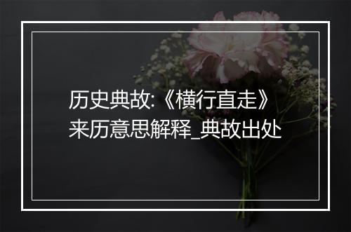 历史典故:《横行直走》来历意思解释_典故出处