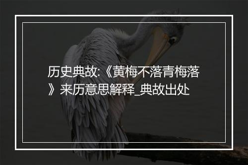 历史典故:《黄梅不落青梅落》来历意思解释_典故出处