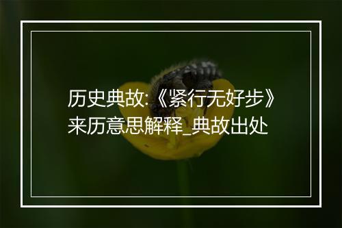 历史典故:《紧行无好步》来历意思解释_典故出处