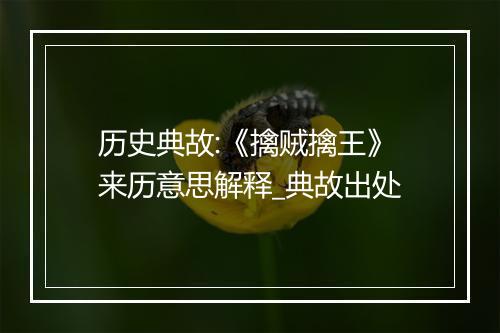 历史典故:《擒贼擒王》来历意思解释_典故出处