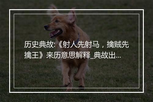 历史典故:《射人先射马，擒贼先擒王》来历意思解释_典故出处