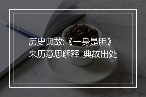 历史典故:《一身是胆》来历意思解释_典故出处