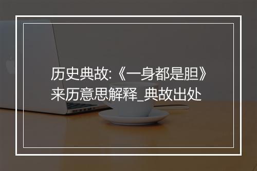 历史典故:《一身都是胆》来历意思解释_典故出处