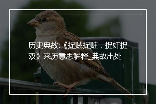 历史典故:《捉贼捉赃，捉奸捉双》来历意思解释_典故出处