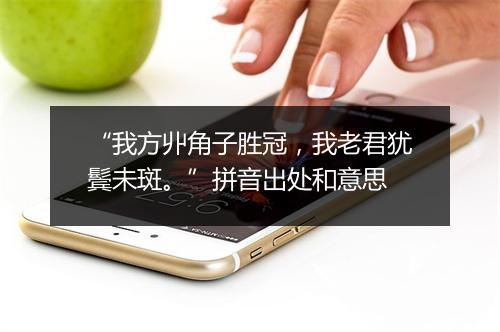 “我方丱角子胜冠，我老君犹鬓未斑。”拼音出处和意思