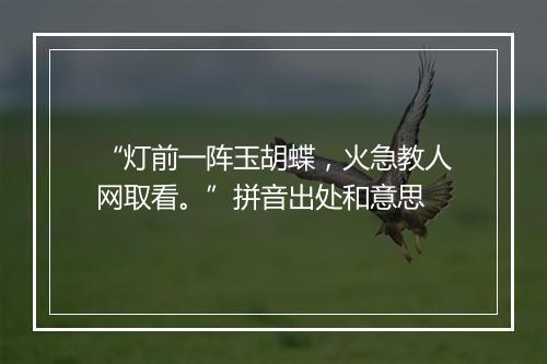 “灯前一阵玉胡蝶，火急教人网取看。”拼音出处和意思