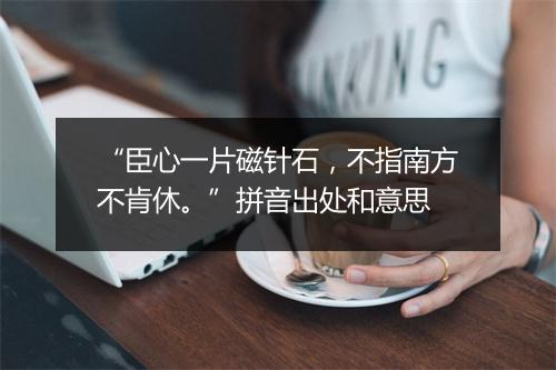 “臣心一片磁针石，不指南方不肯休。”拼音出处和意思