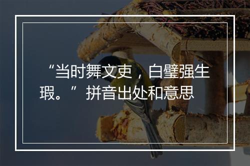 “当时舞文吏，白璧强生瑕。”拼音出处和意思