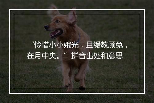 “怜惜小小娥光，且缓教顾兔，在月中央。”拼音出处和意思