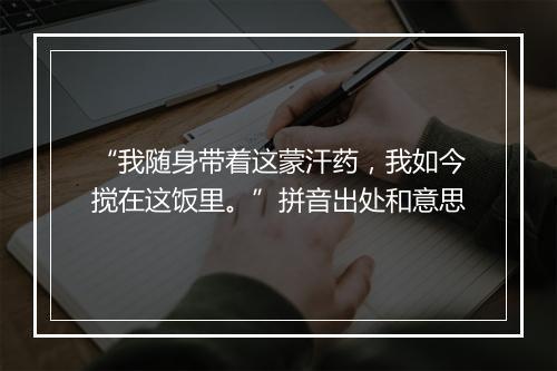 “我随身带着这蒙汗药，我如今搅在这饭里。”拼音出处和意思