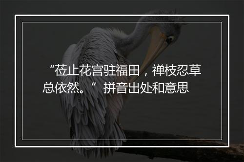 “莅止花宫驻福田，禅枝忍草总依然。”拼音出处和意思