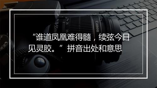 “谁道凤凰难得髓，续弦今日见灵胶。”拼音出处和意思