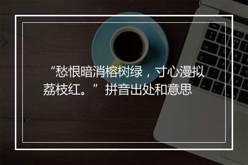 “愁恨暗消榕树绿，寸心漫拟荔枝红。”拼音出处和意思