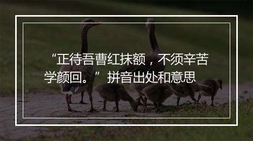 “正待吾曹红抹额，不须辛苦学颜回。”拼音出处和意思