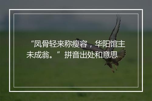 “凤骨轻来称瘦容，华阳馆主未成翁。”拼音出处和意思