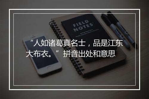 “人如诸葛真名士，品是江东大布衣。”拼音出处和意思