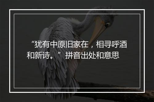 “犹有中原旧家在，相寻呼酒和新诗。”拼音出处和意思