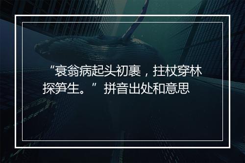 “衰翁病起头初裹，拄杖穿林探笋生。”拼音出处和意思