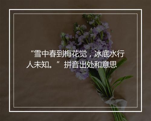 “雪中春到梅花觉，冰底水行人未知。”拼音出处和意思