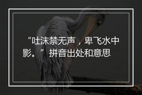 “吐沫禁无声，卑飞水中影。”拼音出处和意思