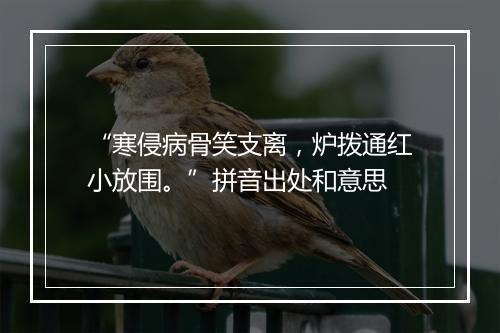 “寒侵病骨笑支离，炉拨通红小放围。”拼音出处和意思