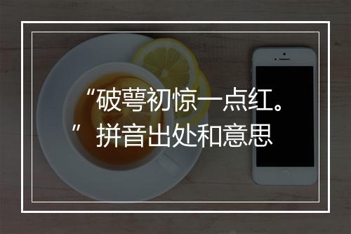 “破萼初惊一点红。”拼音出处和意思