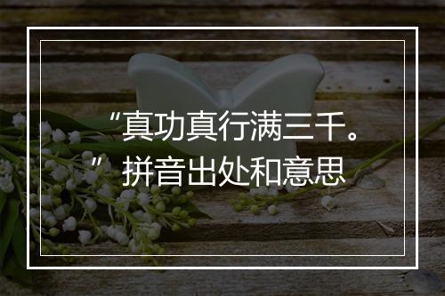 “真功真行满三千。”拼音出处和意思