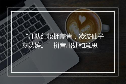 “几队红妆拥盖青，凌波仙子立娉婷。”拼音出处和意思