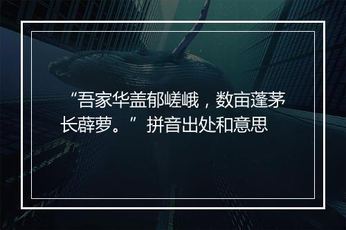 “吾家华盖郁嵯峨，数亩蓬茅长薜萝。”拼音出处和意思