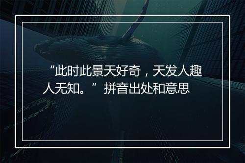 “此时此景天好奇，天发人趣人无知。”拼音出处和意思