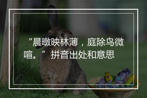 “晨暾映林薄，庭除鸟微喧。”拼音出处和意思