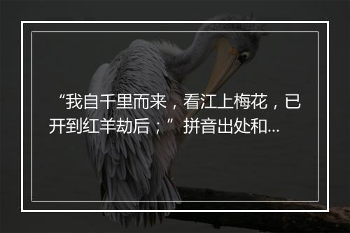 “我自千里而来，看江上梅花，已开到红羊劫后；”拼音出处和意思