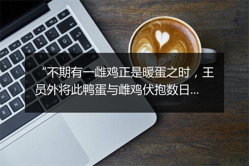 “不期有一雌鸡正是暖蛋之时，王员外将此鸭蛋与雌鸡伏抱数日，”拼音出处和意思