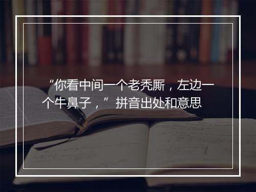 “你看中间一个老秃厮，左边一个牛鼻子，”拼音出处和意思