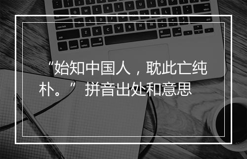 “始知中国人，耽此亡纯朴。”拼音出处和意思