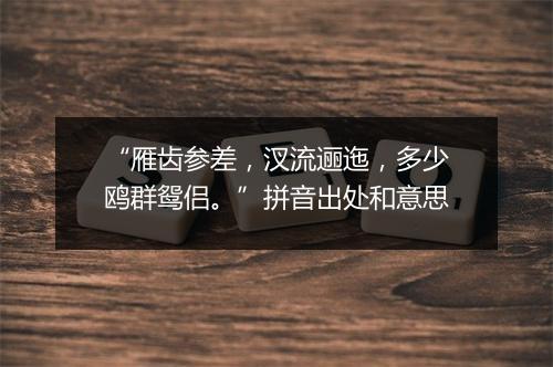 “雁齿参差，汊流逦迤，多少鸥群鸳侣。”拼音出处和意思