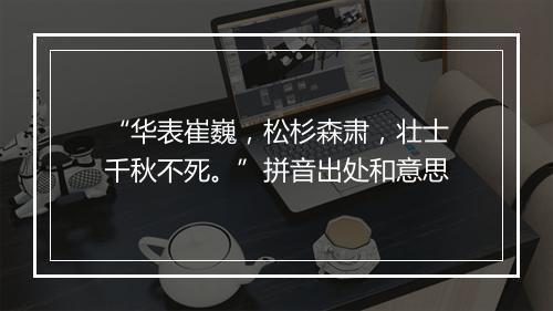 “华表崔巍，松杉森肃，壮士千秋不死。”拼音出处和意思