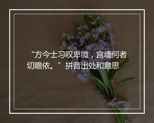 “方今士习叹卑微，宫墙何者切瞻依。”拼音出处和意思