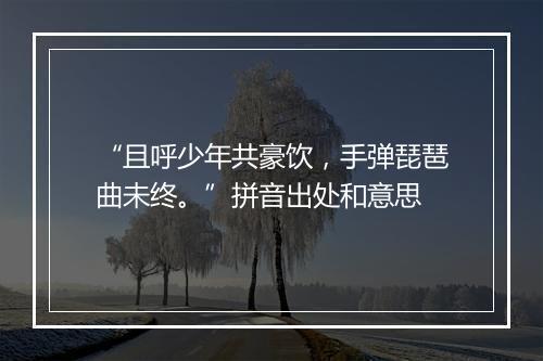 “且呼少年共豪饮，手弹琵琶曲未终。”拼音出处和意思