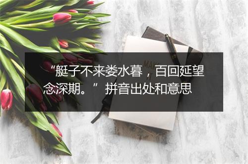 “艇子不来娄水暮，百回延望念深期。”拼音出处和意思