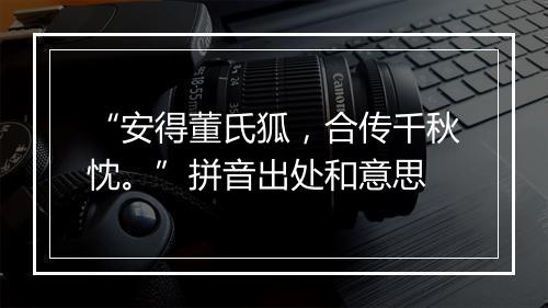 “安得董氏狐，合传千秋忱。”拼音出处和意思