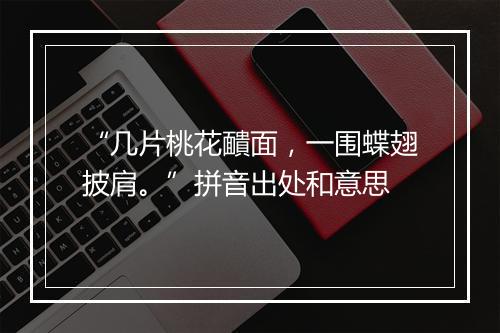 “几片桃花靧面，一围蝶翅披肩。”拼音出处和意思