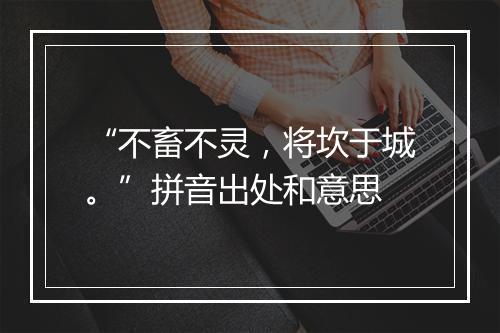 “不畜不灵，将坎于城。”拼音出处和意思