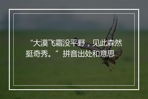 “大漠飞霜没平野，见此森然挺奇秀。”拼音出处和意思